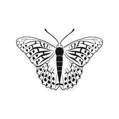 Argynnis paphia, also called Silver-washed Fritillary or Kaisermantel is a common butterfly from Palaearctic ecozone Europe. Vector illustration of beautiful insect, black and white drawing.