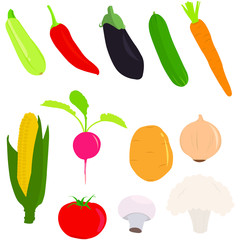 Summer and winter vegetables set with carrot, eggplant, mushroom, corn, pepper, potato, cauliflower.