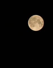 FULL MOON 6