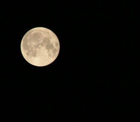 FULL MOON 8