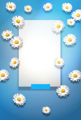 Light blue background with daisy