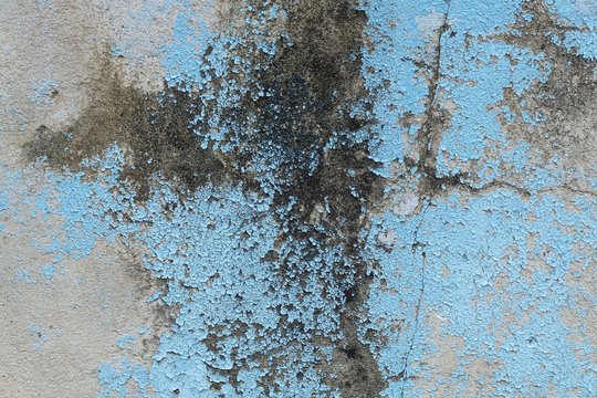Textured of Peeling Paint on Blue Grunge Wall