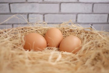 In selective focus a group fresh eggs in a dried hay on wooden basket in a kitchen area with blurred white brick wall background