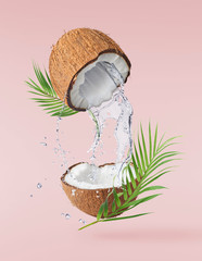Flying in air fresh ripe whole and cracked coconut with palm leave