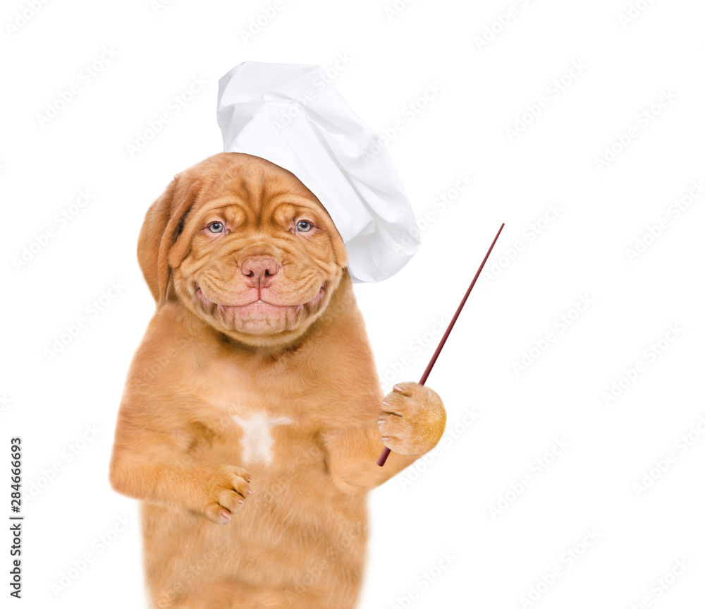 Poster Smiling puppy in chef's hat pointing away on empty space. isolated on white background