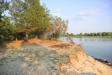 Picturesque steep bank of the river Desna with pine-trees, sand and canoe in Ukraine; canoe travelers stopped to have a rest