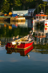 Obraz premium floating boat on a sunset