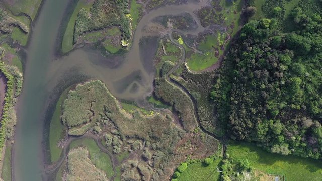Aerial view, Marshes in Rada, Marismas de Santo&ntilde;a, Noja y Joyel Natural Park, Cantabria, Spain, Europe
