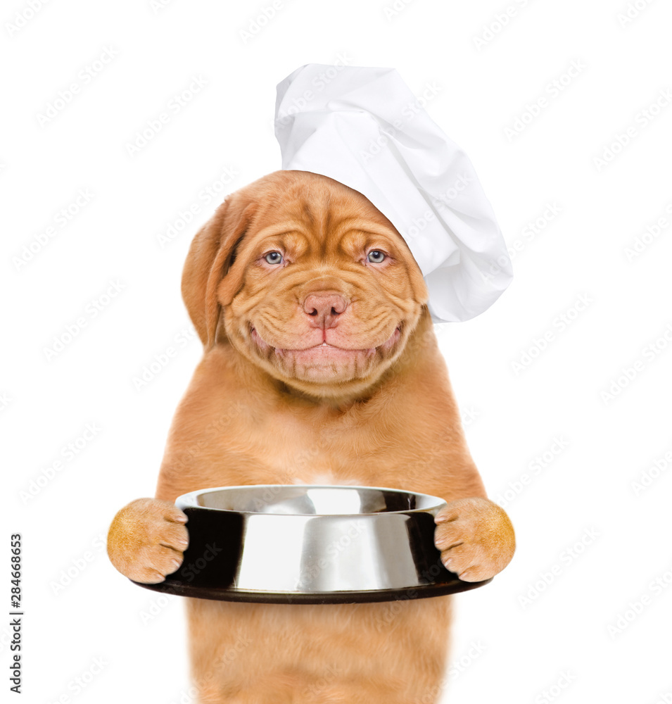 Poster Smiling puppy in chef's cap holding empty bowl. isolated on white background