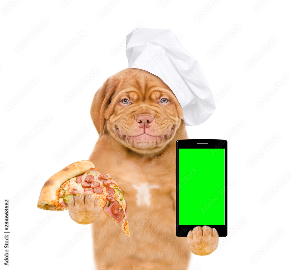 Poster smiling puppy in chef's hat holding pizza and smartphone. isolated on white background