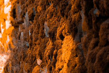rusty metal background