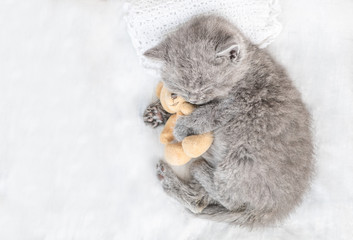 Baby kitten sleeping with toy bear on the bed. Top view. Empty space for text © Ermolaev Alexandr