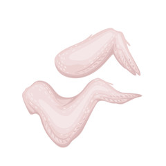 Raw chicken wing, fresh meat concept vector Illustration. Isolated on a white background