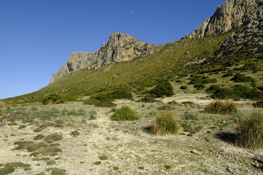 Landschaft und Steilk&uuml;ste im Vall de B&oacute;quer  auf der Halbinse Formentorl, Mallorca, Balearen, Spanien