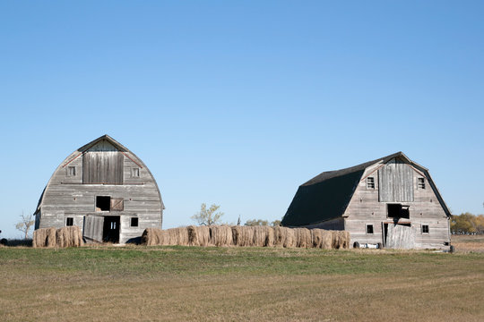 two weathered gray barns