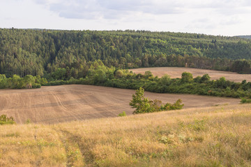 Fototapeta premium Landschaft im Sommer