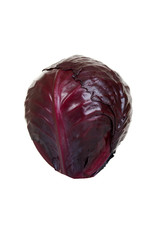 whole red cabbage
