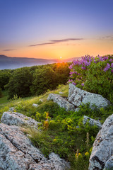 Amazing colorful sunrise and sun-rays above horizon mountains, foreground rocks, fresh, sunlit purple lilac and vivid, green grass and flowers during early spring