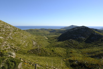 Obraz premium Landschaft und Steilküste auf der Halbinsel Llevant im Naturpark Llevant, Mallorca, Balearen, Spanien