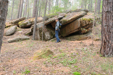 Pine forest in the mountains. Trees grow on stones.