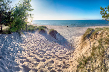 Slowinski National Park on the Baltic Sea coast, near Leba, Poland. Beautiful sandy beach, dune vegetation and coastal landscape on the walking trail between Leba and Moving Dunes. - obrazy, fototapety, plakaty