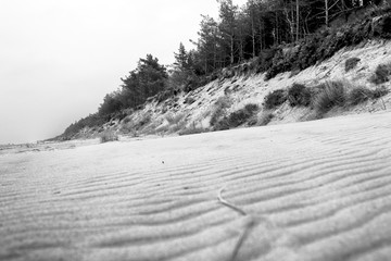 Slowinski National Park on the Baltic Sea coast, near Leba, Poland. Beautiful sandy beach, dune...