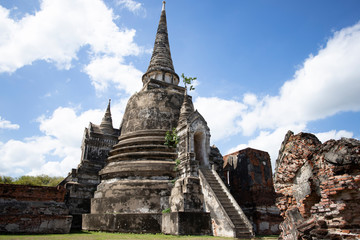 Fototapeta premium The ancient ruins of Wat Phra Si Sanphet, Ayutthaya, Thailand.