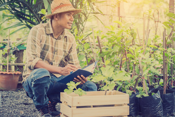 farmer checking and controling produce to qulity of product in farm field