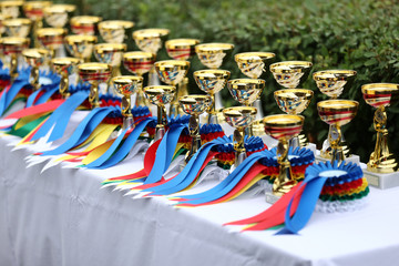 Beautiful colorful awards on the table to the winners of the races