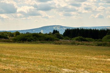 Am Bauersberg, Biosph&auml;renreservat Rh&ouml;n, Bischofsheim a.d.Rh&ouml;n, Landkreis Rh&ouml;n-Grabfeld, Unterfranken, Franken, Bayern, Deutschland.