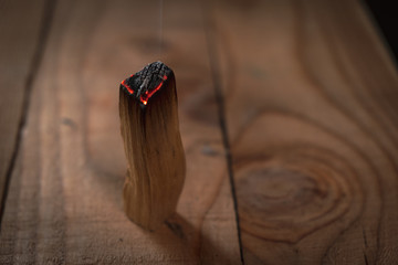 palo santo, Bursera graveolens