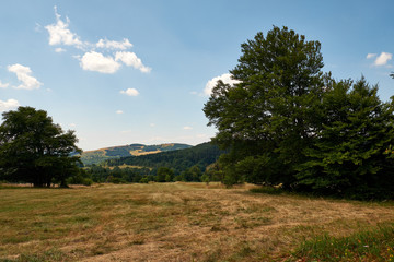 Fototapeta na wymiar Am Bauersberg, Biosphärenreservat Rhön, Bischofsheim a.d.Rhön, Landkreis Rhön-Grabfeld, Unterfranken, Franken, Bayern, Deutschland.