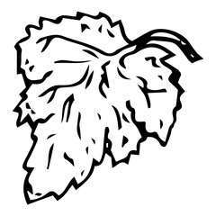 Leaf of a plant. One leaf of cucumber. Pointed leaf. Vector illustration. Simple hand drawn icon.