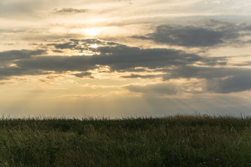 Fototapeta premium Landschaft im Sommer