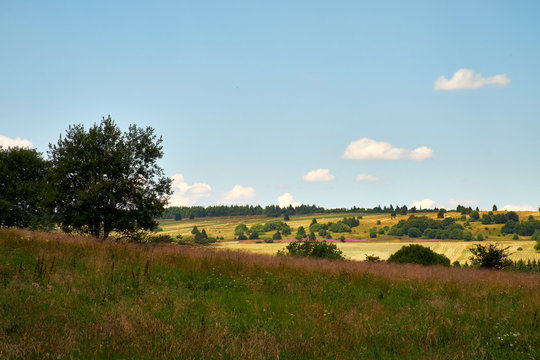 Am Bauersberg, Biosph&auml;renreservat Rh&ouml;n, Bischofsheim a.d.Rh&ouml;n, Landkreis Rh&ouml;n-Grabfeld, Unterfranken, Franken, Bayern, Deutschland.