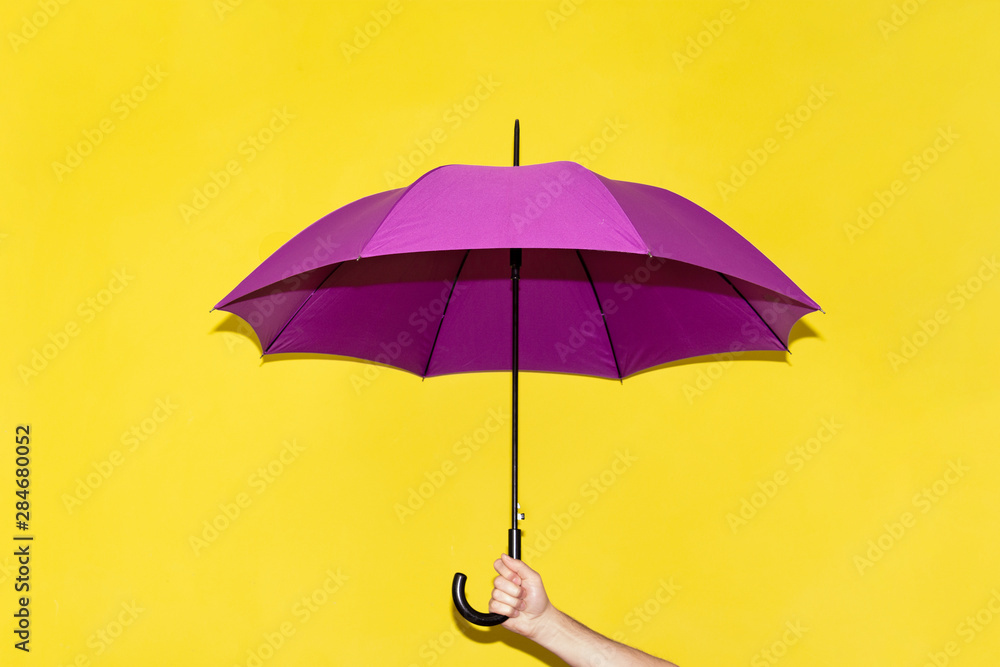 Wall mural a man holds in his hand a purple umbrella on a background of yellow-lime wall. the concept of autumn