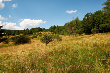 Obraz premium Am Bauersberg, Biosphärenreservat Rhön, Bischofsheim a.d.Rhön, Landkreis Rhön-Grabfeld, Unterfranken, Franken, Bayern, Deutschland.