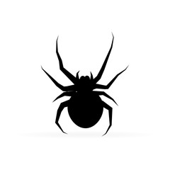 Silhouette spider. Spider icon, Isolated. Spider logo template. Halloween symbol.Tattoo design.