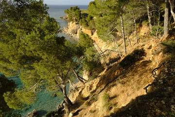 Landschaft und Steilküste bei Betlem auf der Halbinsel Llevant im Naturpark Llevant, Mallorca, Balearen, Spanien
