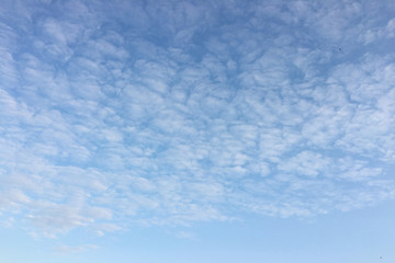 Fototapeta na wymiar clouds, sky blue background. cloud blue sky and sun.