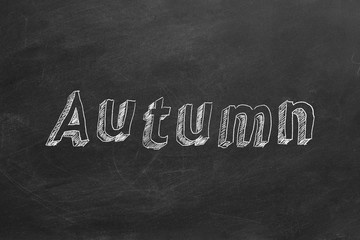 Obraz premium Hand drawing text 