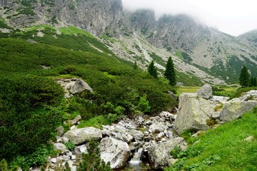 Beautiful High Tatras mountains landscape in  Slovakia near city Old Smokovec. sunny summer day