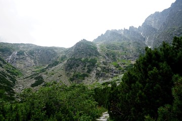 Beautiful High Tatras mountains landscape in  Slovakia near city Old Smokovec. sunny summer day