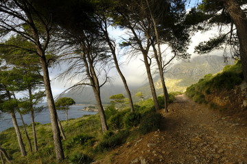 Landschaft und Steilküste bei Betlem auf der Halbinsel Llevant im Naturpark Llevant, Mallorca,...
