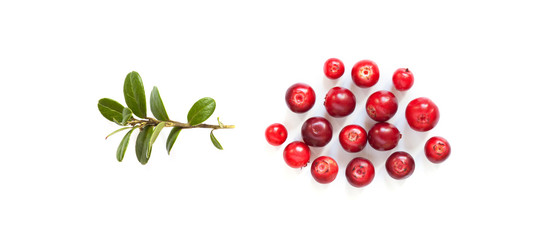 Ripe red cowberries on white background. Fresh berries Vaccinium vitis-idaea with green leaves.