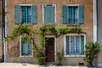 French old townhouse facade with vine growing up it