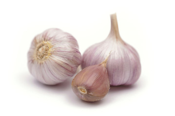 fresh garlic isolated on white