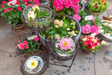 Fototapeta na wymiar Outdoor flower market water lilies for sale