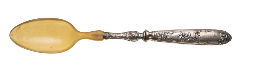 The old silver spoon with bone handle