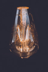 bulb